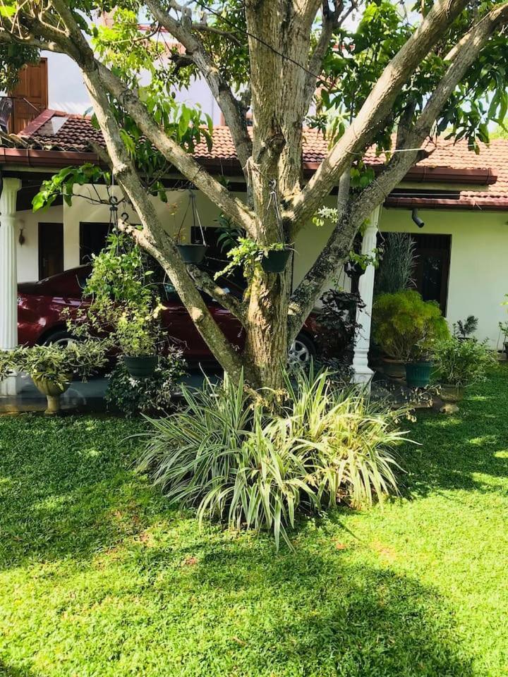 Bed and Breakfast House Of Seya Negombo Exterior foto